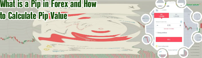 What is pips in forex